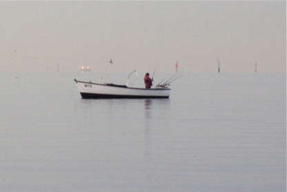 hobson's bay-fisherman