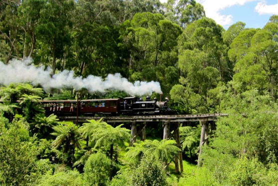 Puffing Billy 1