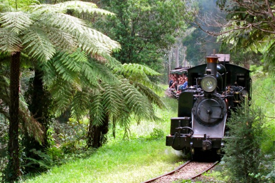 Puffing Billy