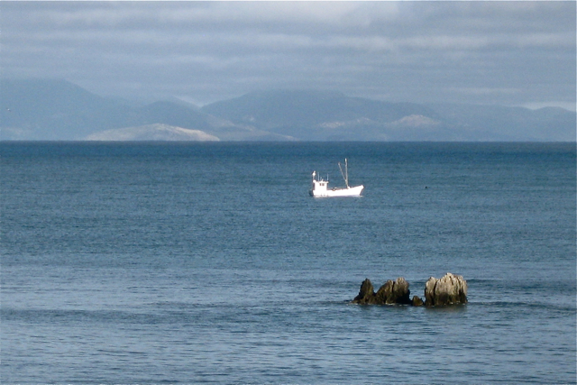 walkerville-cray-boat