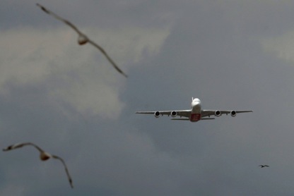 a380-flypast-birds