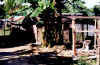 VanuatuDunny_small